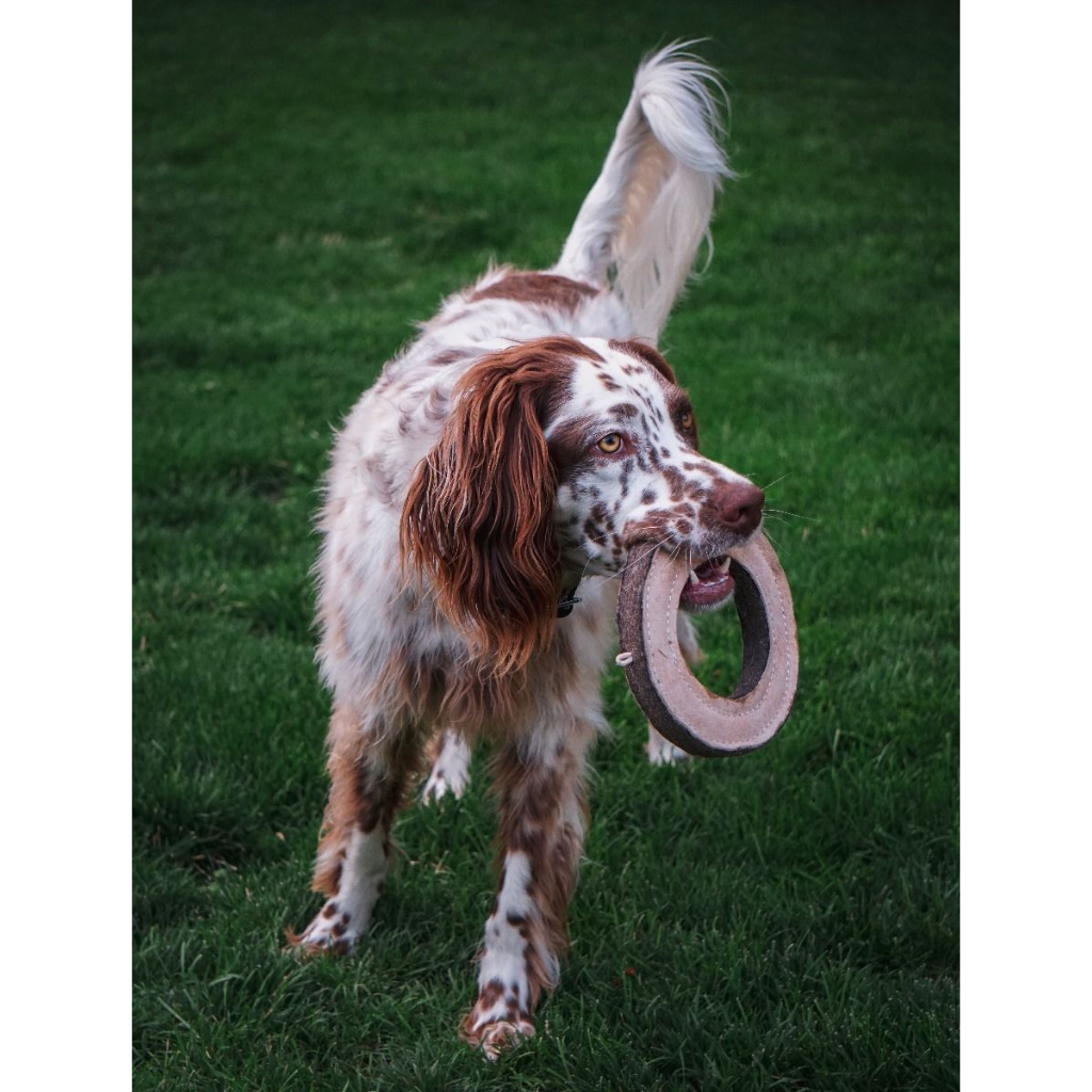 Tall Tails Dog Toys