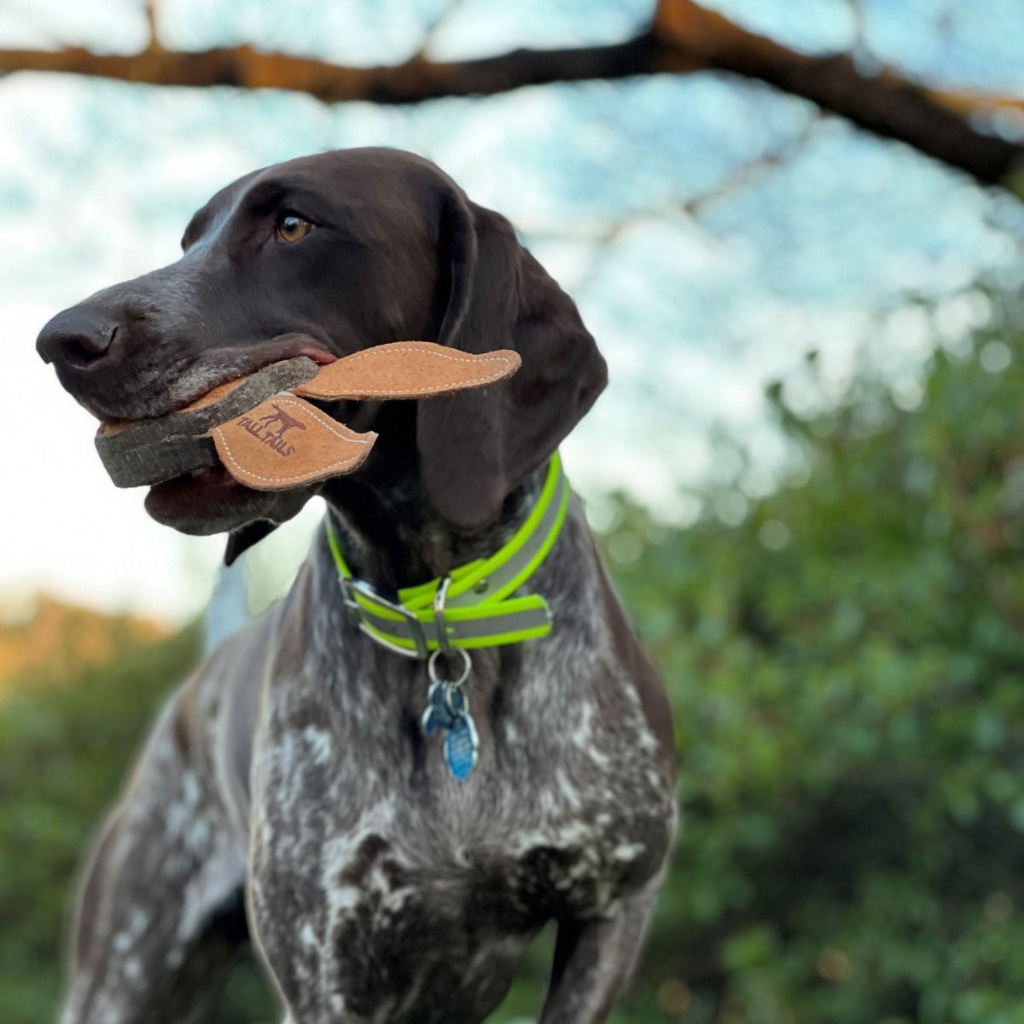 Tall Tails Dog Toys
