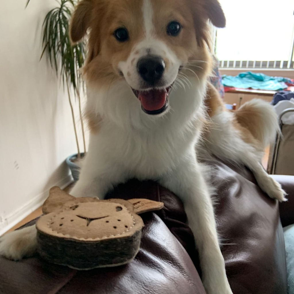 Tall Tails Dog Toys