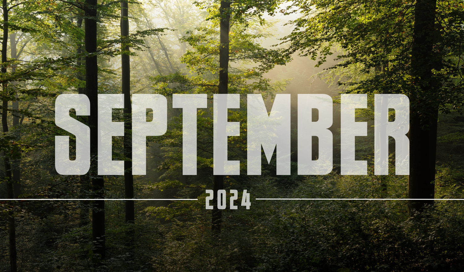 SEPTEMBER 2024