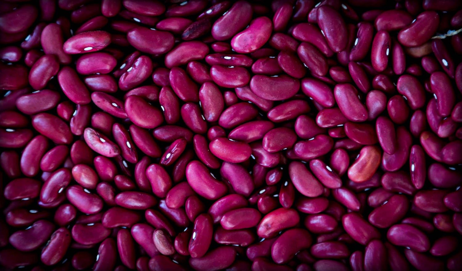 KIDNEY BEANS