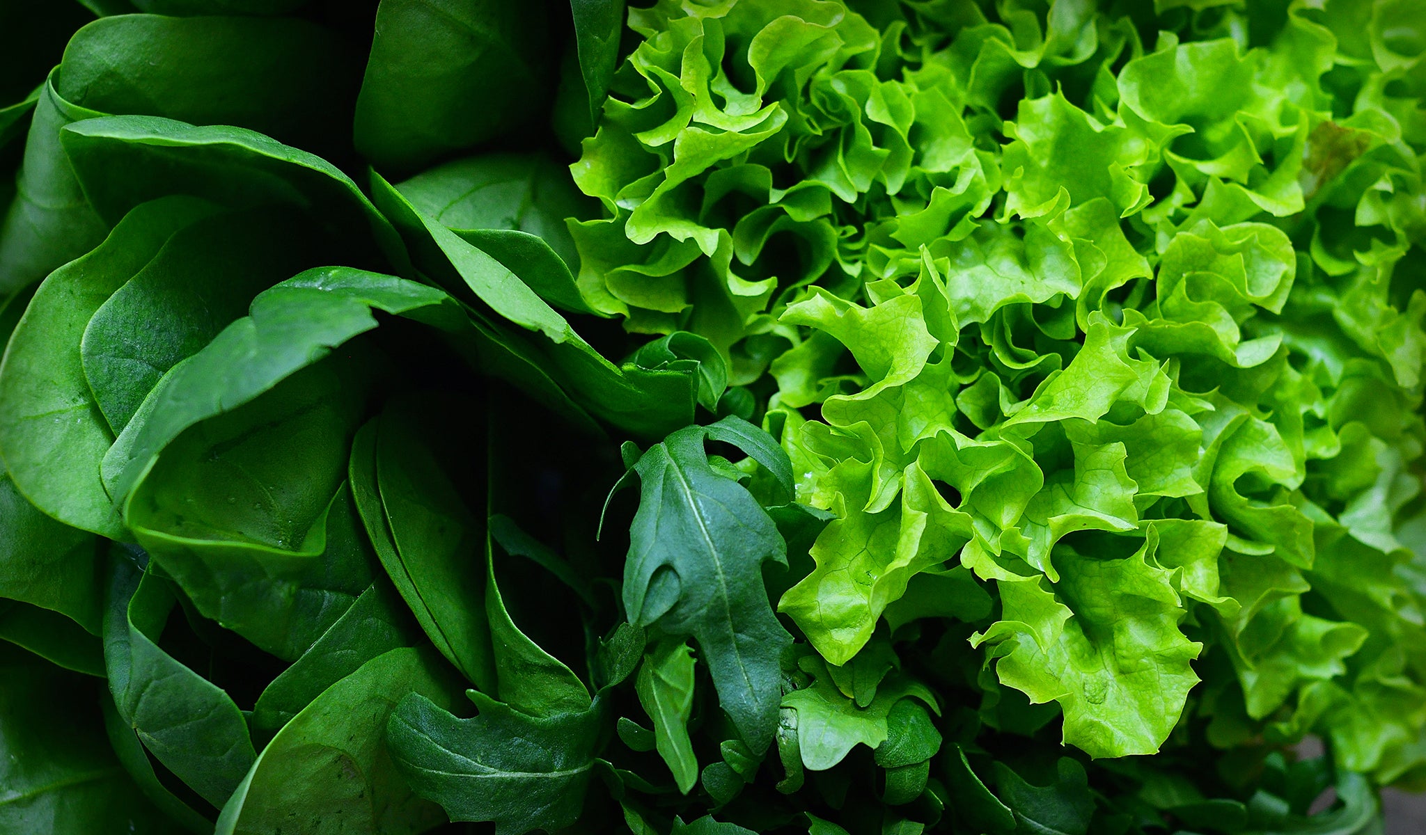 GREEN LEAFY VEGETABLES