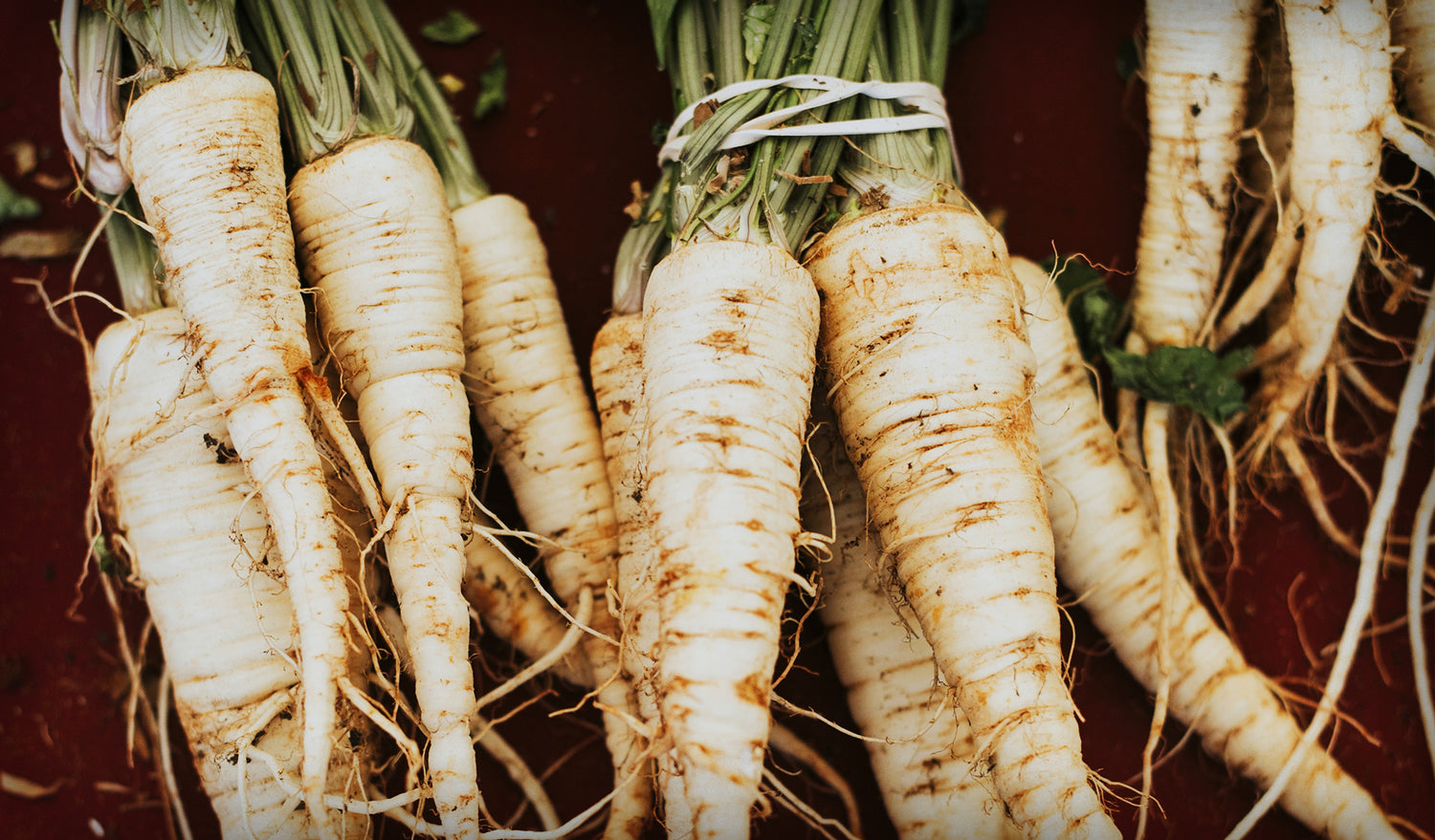 PARSNIPS