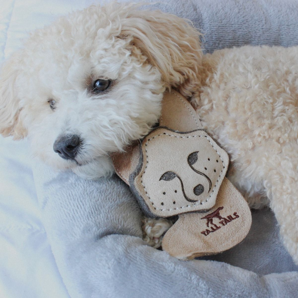 Tall Tails Dog Toys