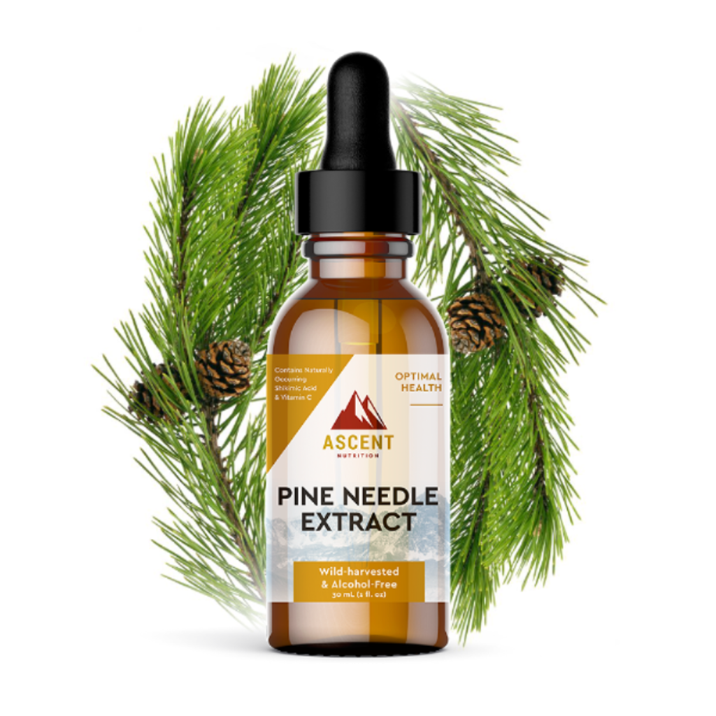 Pine Needle Extract