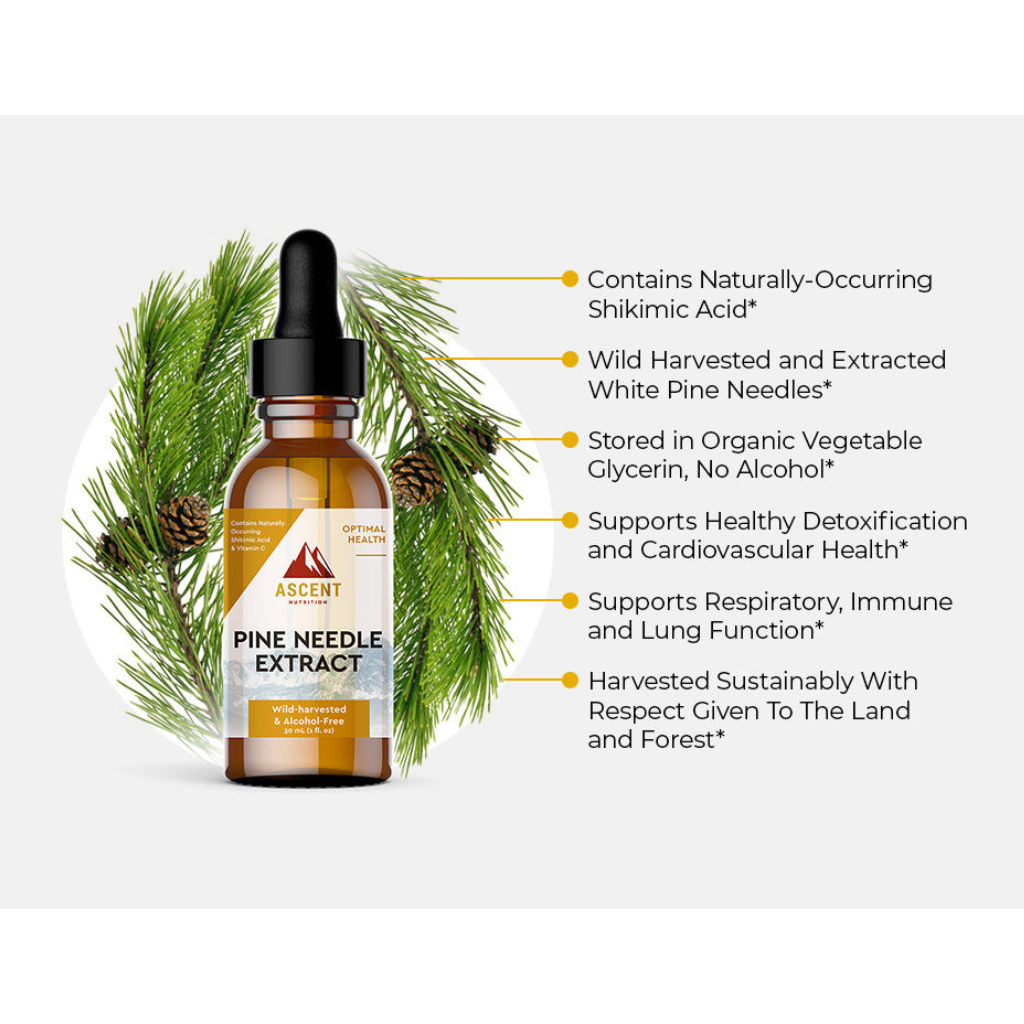 Pine Needle Extract