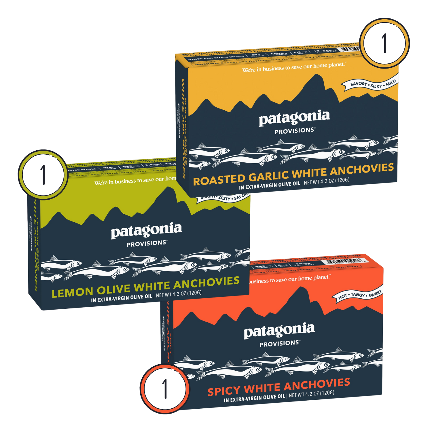 Spanish White Anchovies