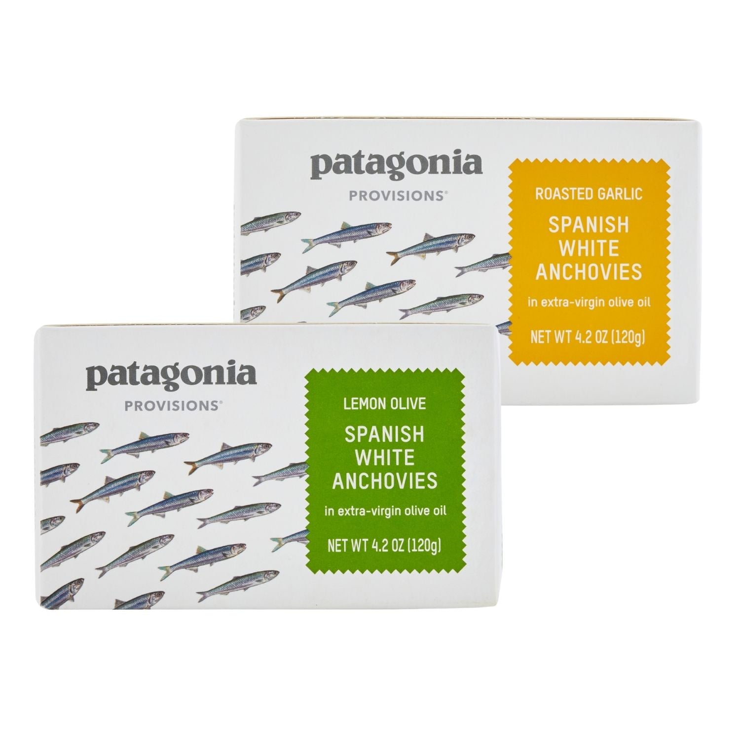 Spanish White Anchovies